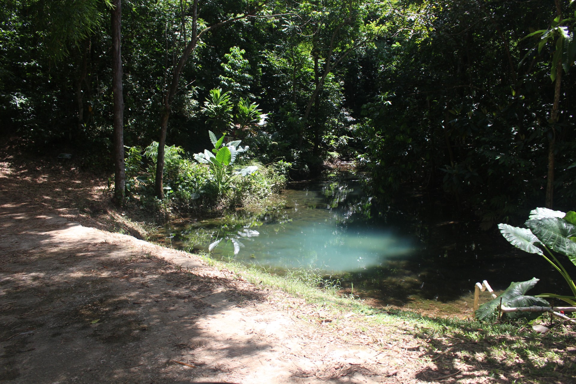 Foto de un camino en tierra y el rio en el tropico