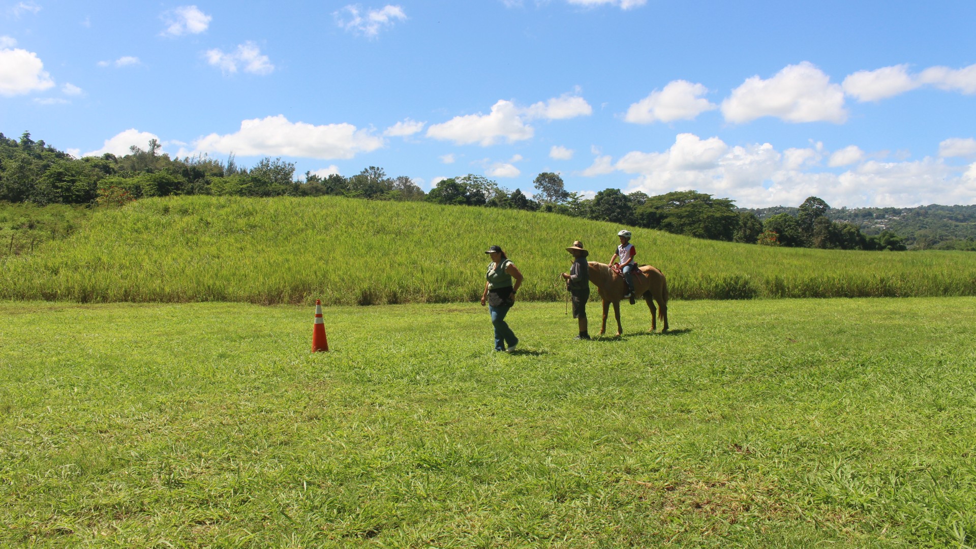 Foto de persona montado en un caballo siendo guiado por una persona en un patio verde