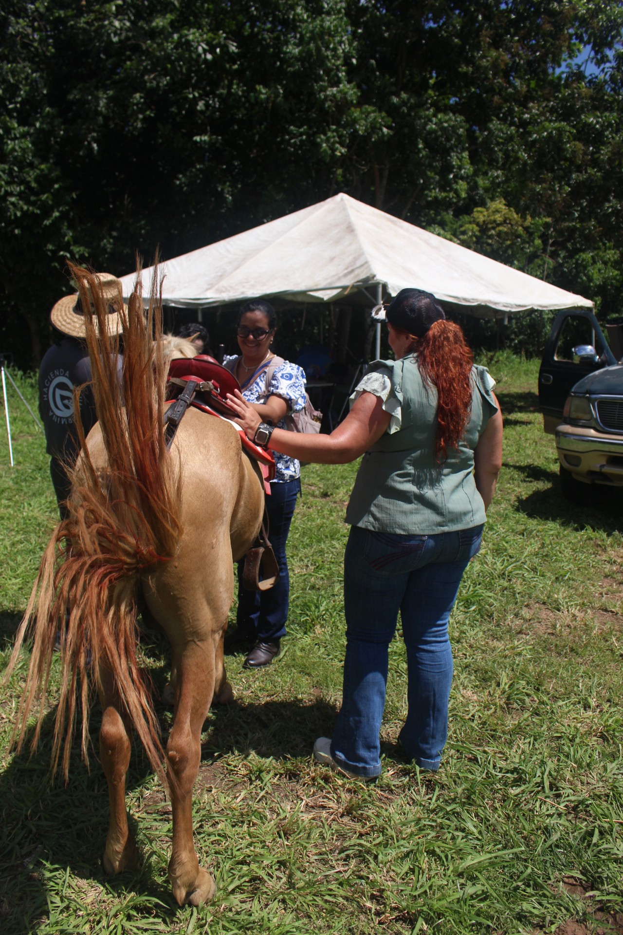 Foto de personas tocando un caballo color cafe.