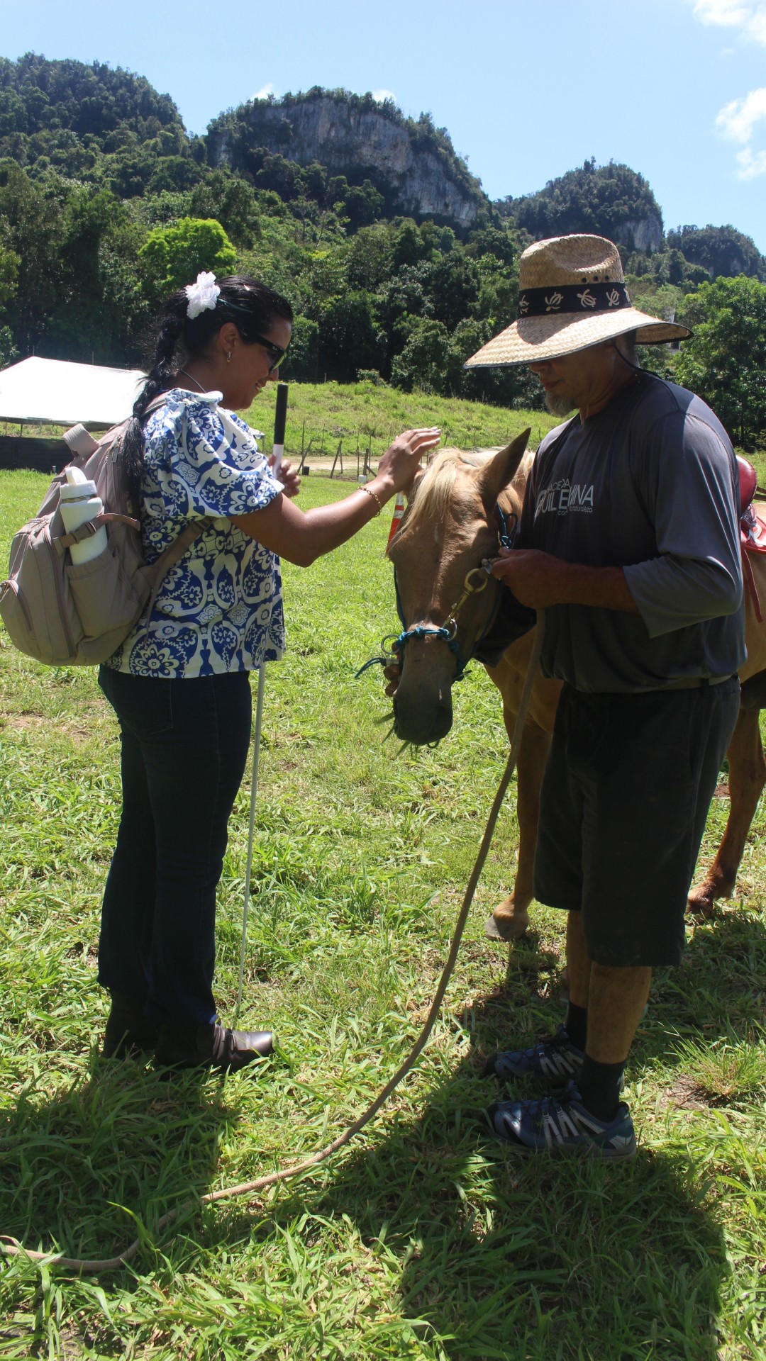Foto de señora tocando a un caballo color cafe en la cabeza